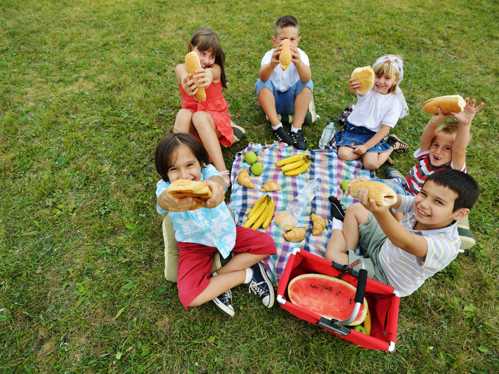 fundraising idea school picnic